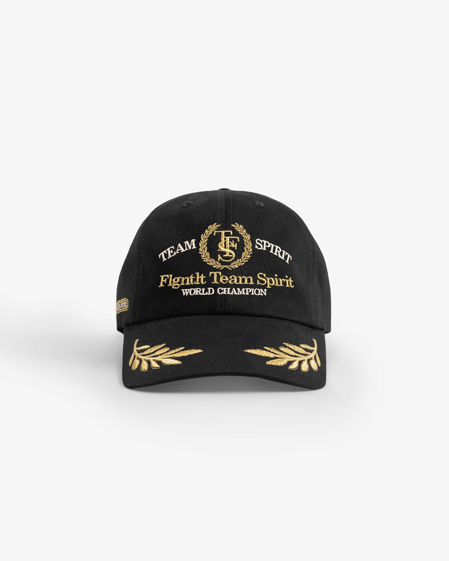 FLGNTLT TSF BLACK CAP