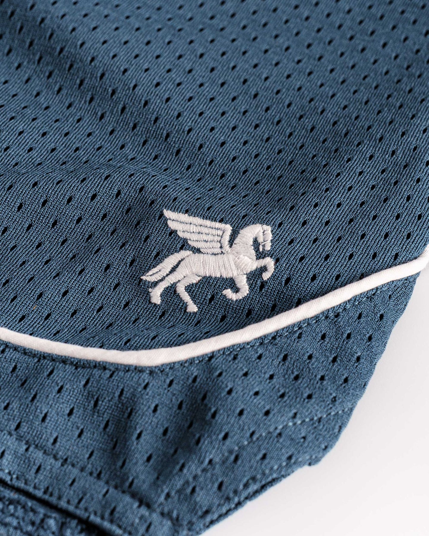 INDIGO MESH SHORTS