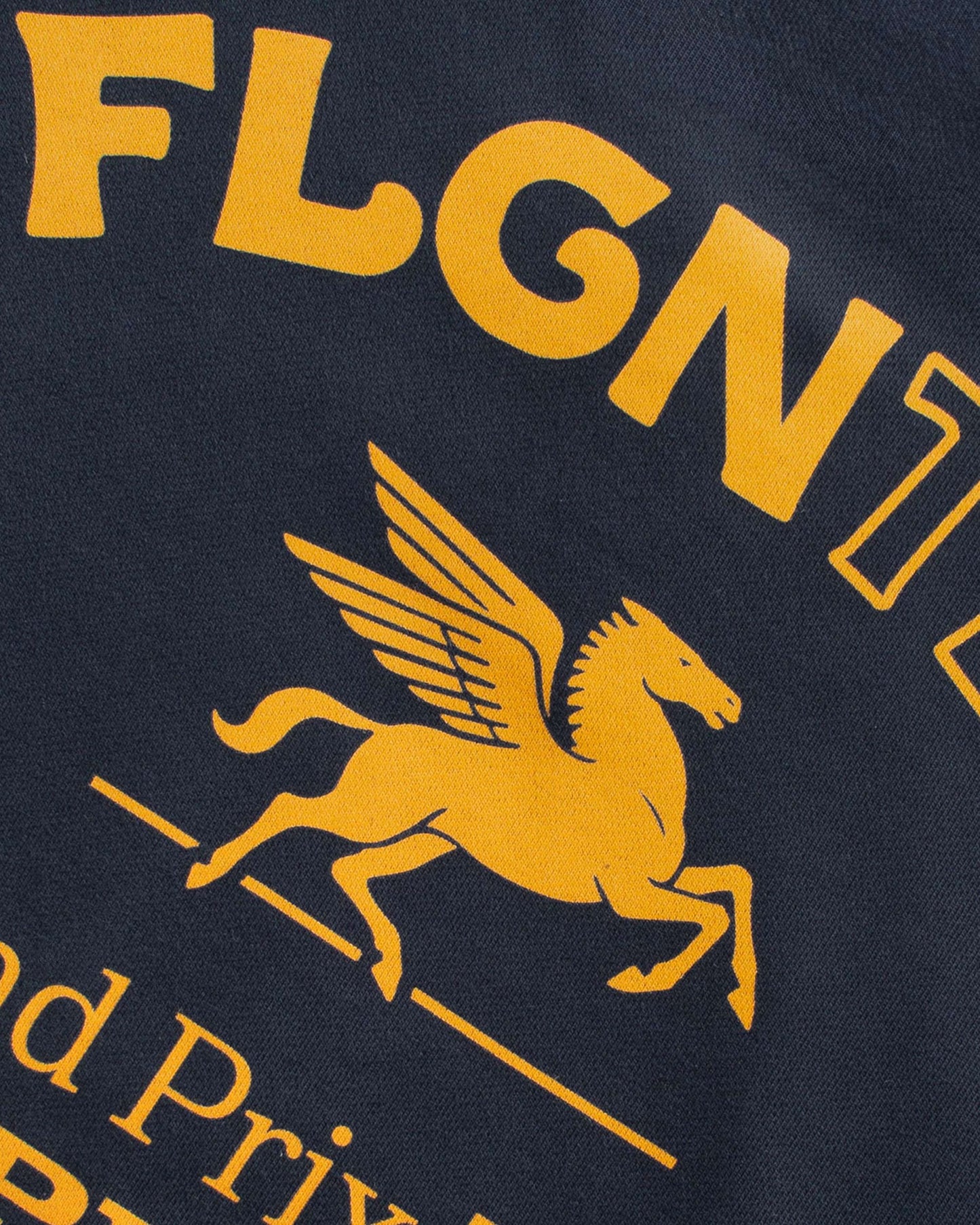 SPIRIT HOODIE