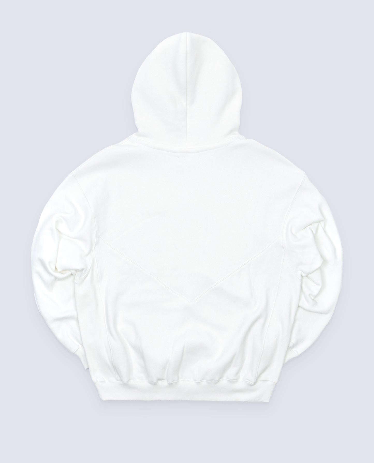FLGNTLT PALMS HOODIE