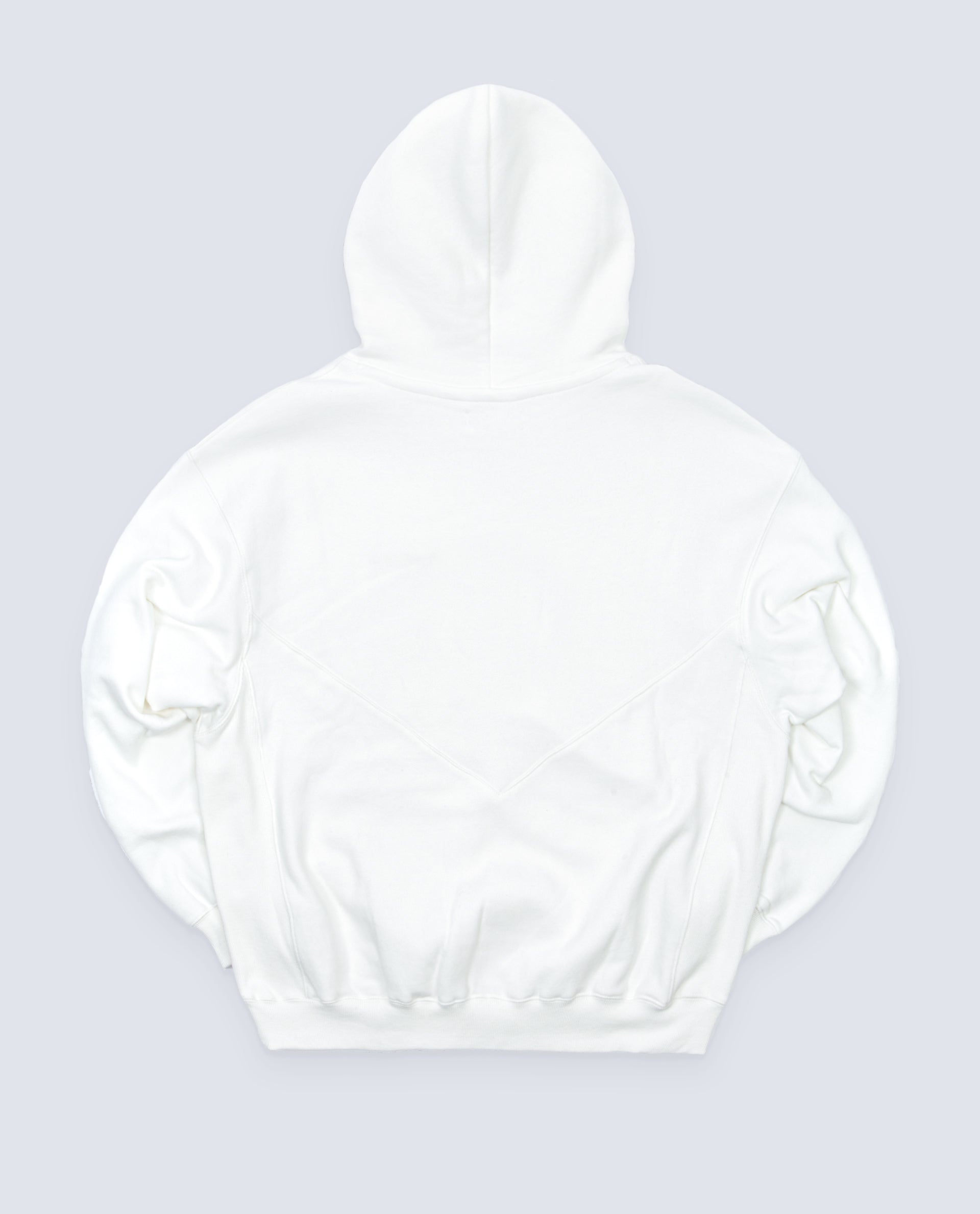 FLGNTLT PALMS HOODIE